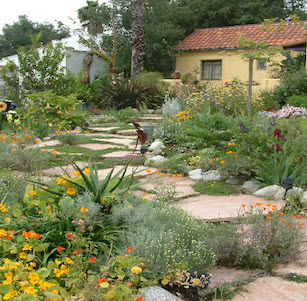 Los Angeles Color Garden